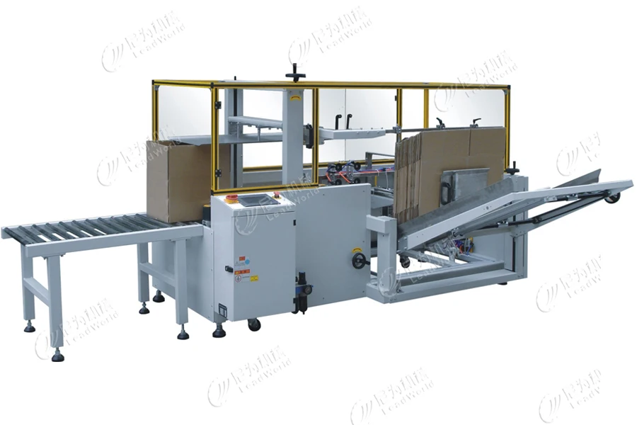 Leadworld Carton Packaging - Full Automatic Packing Line