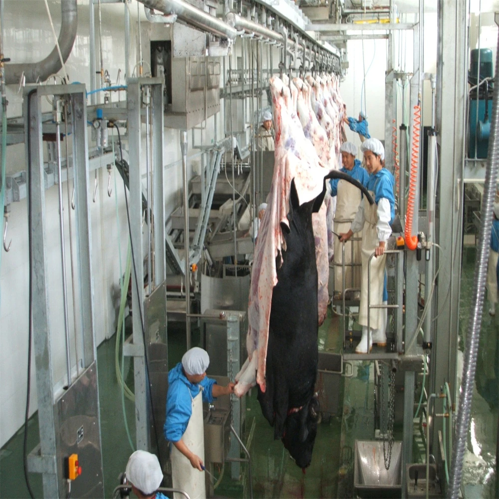 Halal slaughtering fully equipped cattle slaughterhouse