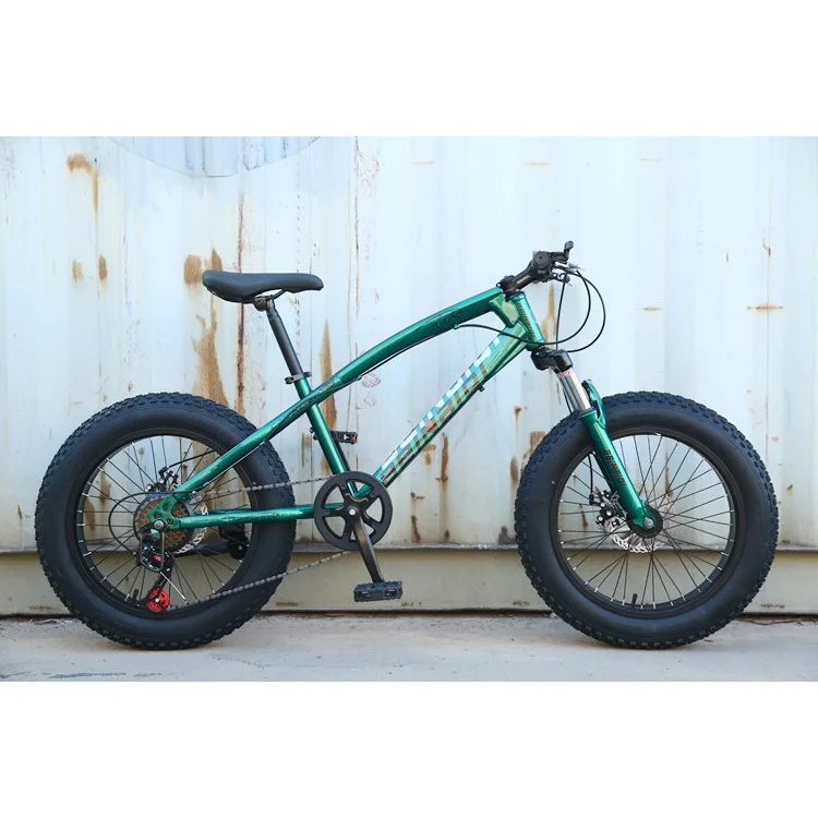 low rider fat bike