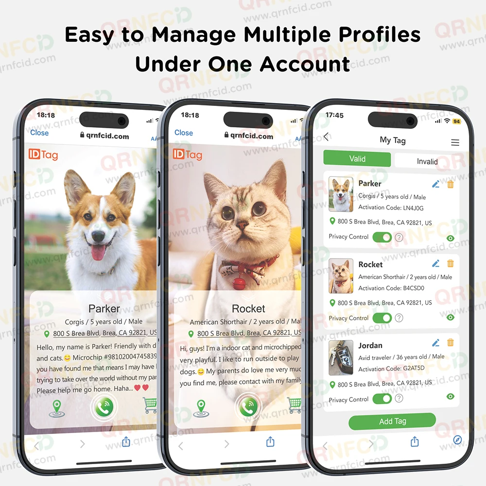 Wholesale Anti Loss Silent Lightweight Smart QR Code Epoxy Pet Cat Dog Collar ID Tag With Built In Ready To Use Software