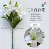 ลิลลี่ก้านสั้นพิมพ์ 3 มิติสามหัว สีขาว