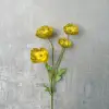 Or