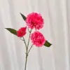 Rosa roja