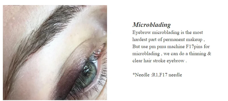 PM MICROBLADING