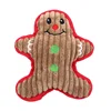 Chocolate Cookie