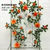 สตาร์ มูน เกอดิส โรส ไวน์ - สีส้ม