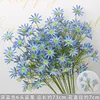 Branche étoile bleue à six têtes bleu foncé