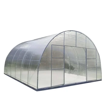 Hot sale hoop house single span agricultural small greenhouse tunneling for Vegetables