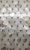 Light Color Mosaic