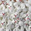 Lapin blanc