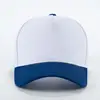 Bianco e blu reale