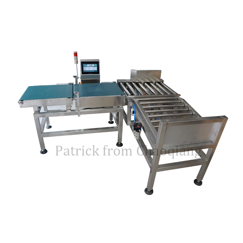 50Kg Heavy Load Automatic Intelligent Conveyor Type Industrial Check Weigher