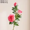 Three-headed rose pink