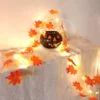 Maple leaf