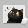 Gato gordito 0580