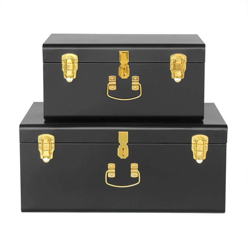 Exquisite  Set of Two Metal Trunk Storage Trunk Box for Home Decoration