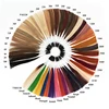 colors