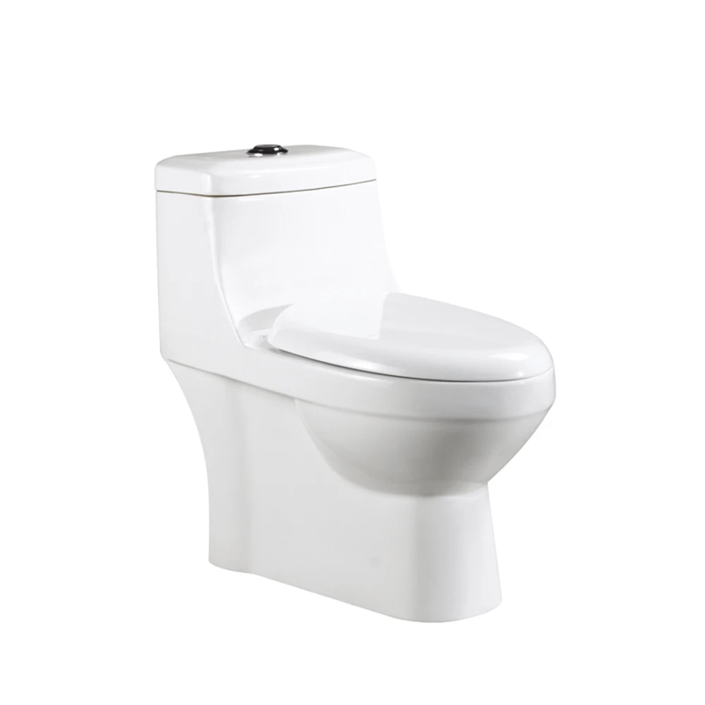 Types of Turkish Push Button Sanitary Ware Intelligent Toilet Bowl Flush Manufacturer