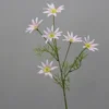 6 small sun 1 branch
