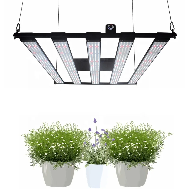 No01.CHILLED LOGiC 水耕栽培LED照明 水耕栽培】水耕栽培用LEDライトを買って使ってみた感想 - YouTube