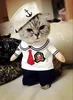 White sailor