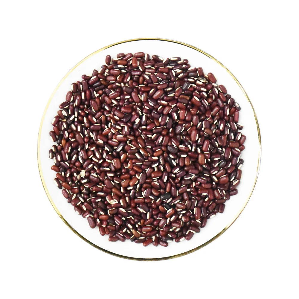 Wholesale Herbs Chinese Medicine Dried Red Phaseolus Bean to Relieve Sore and Toxin