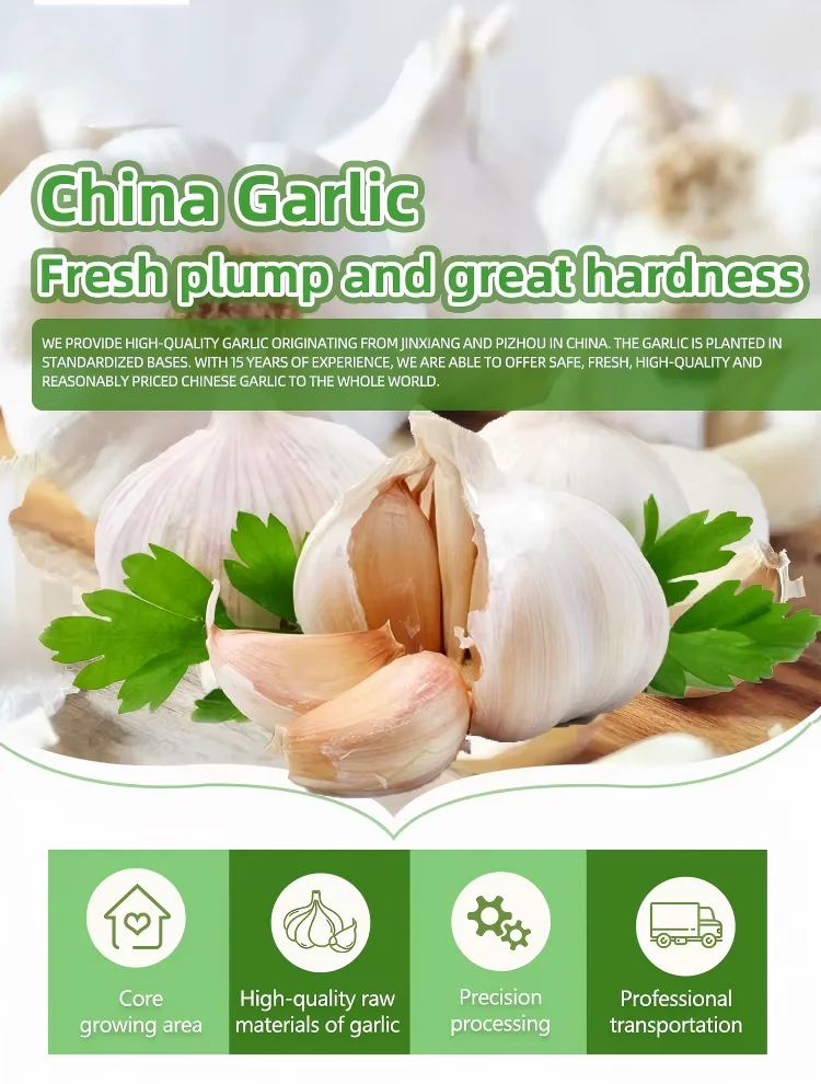 Dehydrated Garlic Flakes - Bulk Wholesale from China Factory H4a0b12ecee7c49e1b33a1b648b54cbe3i