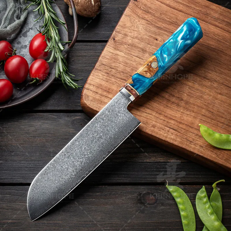 KEENHOPE Professional Kitchen Knife Set 9Pcs Damascus 67 Layers VG10 Composited Resin Stainless Steel Blade with Blue Maple Burl