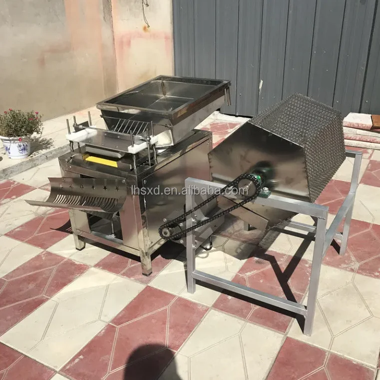 Automatic Quail Egg Sheller - Efficient & Reliable Machine