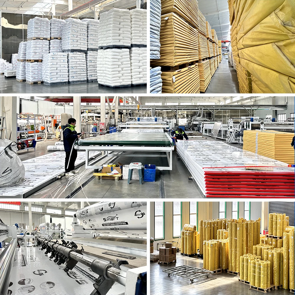 Free Sample High Impact Strength 4mm Poly Carbonate Panel Solid Polycarbonate Sheets for Constructions