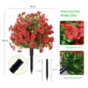 Violet planting in red