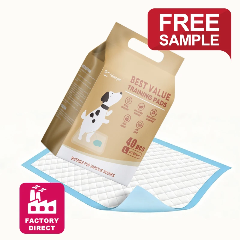 Customized Service High Capacity Leak Proof Disposable Dog Training Pad 60x60cm Bulk Pack 100 Count Quality Guaranteed Supply