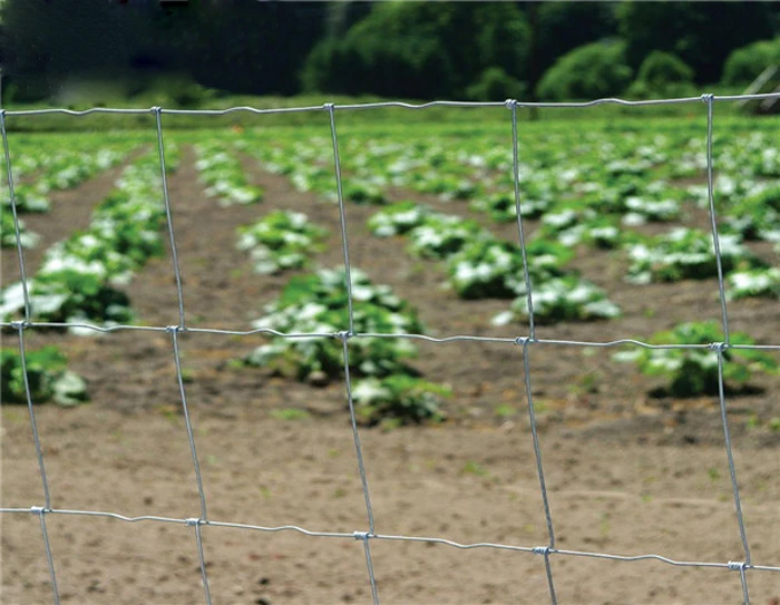 High Tensile Sheep Goat Fencing Filed Fence/ Farm Fencing /farm Wire
