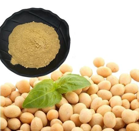 Natural Organic Soybean Extract Soy Isoflavones Powder