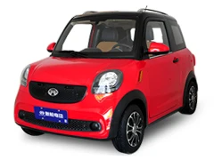 Богатый H6 Новый электрический автомобиль 50 км/ч с 72 в 100 А/ч свинцово-кислотная батарея для городского использования