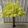 verde 2