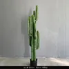 Colonne verte immortelle 125cm