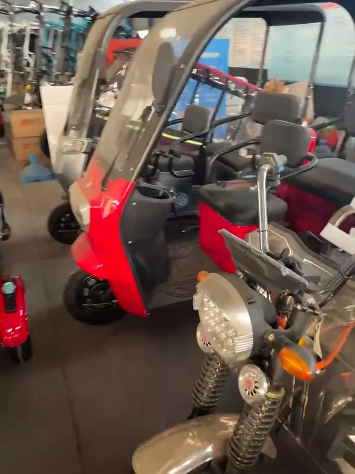 New Asia Passenger Mini Erickshaw Price In Pakistan / 3 Wheel Battery