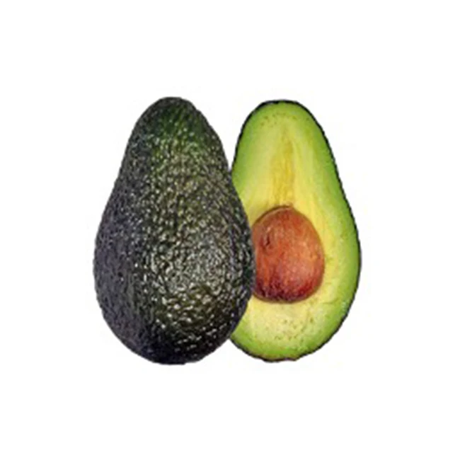 Hot Sale Fresh Premium Avocado From Mexico High Quality,Best Price