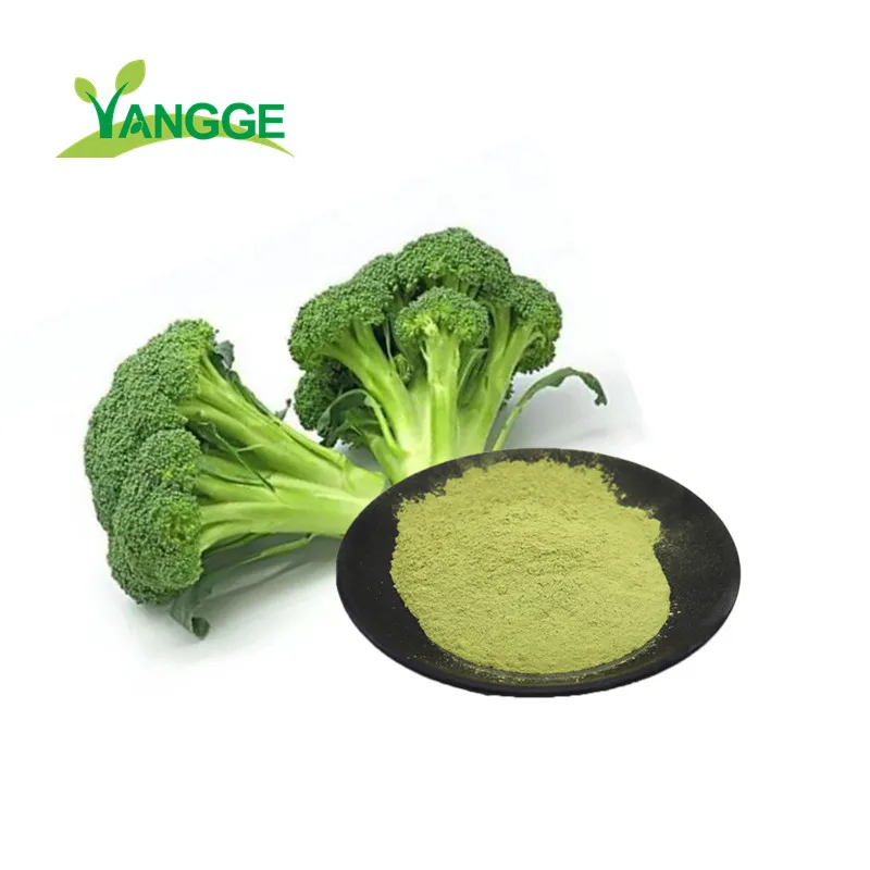 Organic Glucoraphanin 1 Broccoli Seed Extract Powder Buy Frozen Broccoli Powder Broccoli Powder Broccoli Juice Powder Product On Alibaba Com