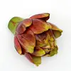 Rojo-8CM