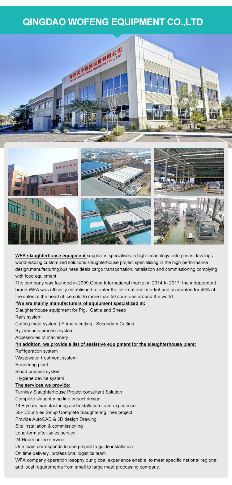 Large Slaughterhouse Complete 250 Cattle Per Hour Halal Meat Processing