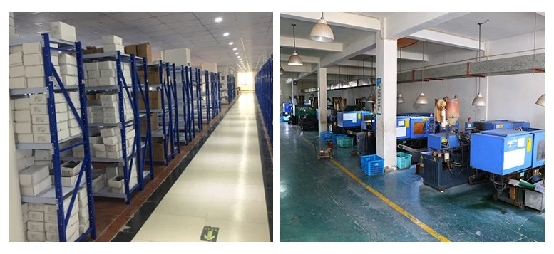 Dongguan Fuxin Glasses Co., Ltd.