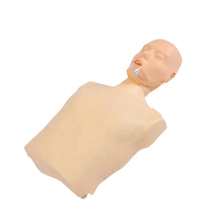 Sccpr100a Medical Science First Aid Teaching Cpr Training Manikin Half Body Led Light