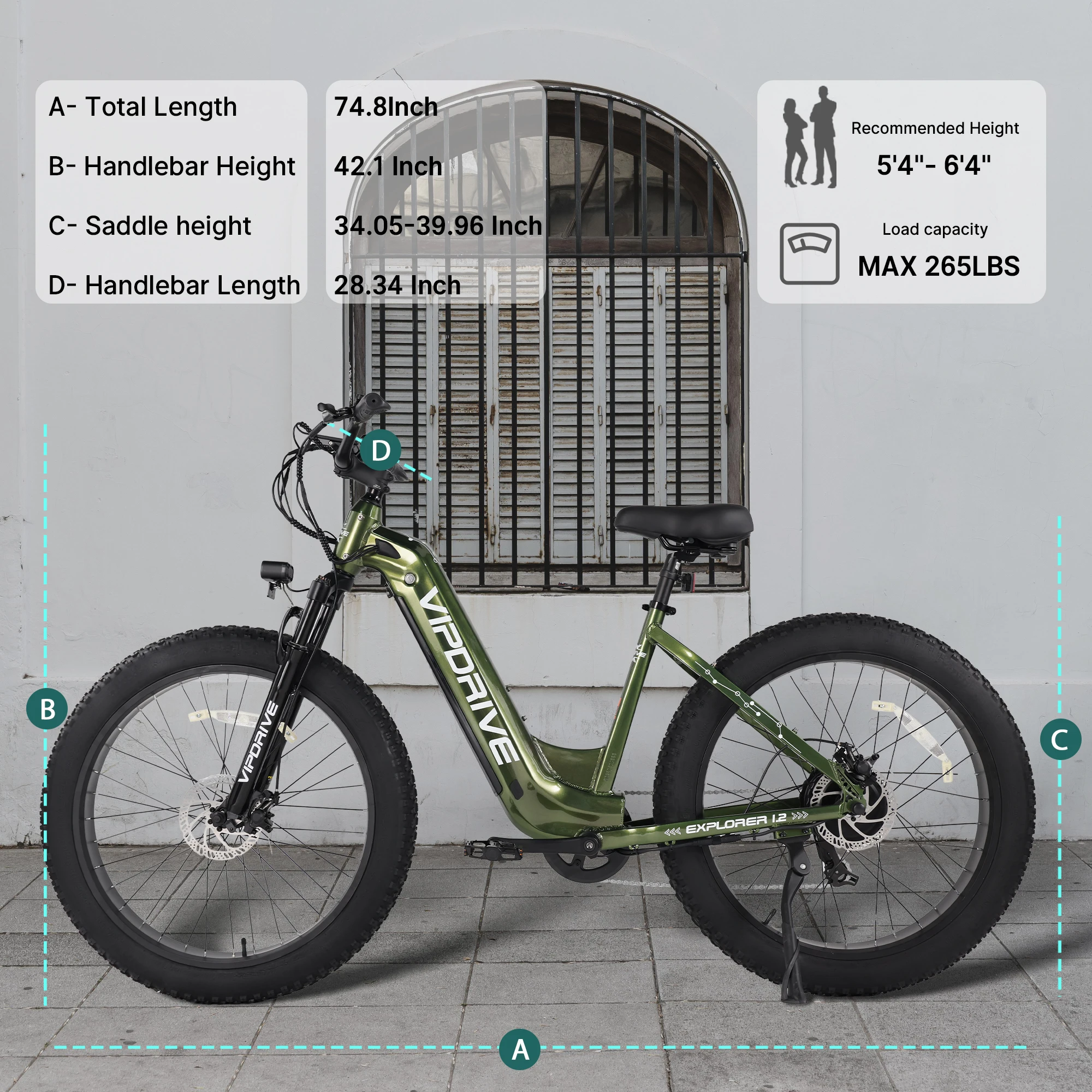Vipdrive EU Warehouse Drop Shipping Downhill EBike MTB Removable 48V 15AH Best Battery 750W Women Low Step Snow Beach Bike