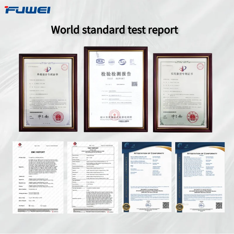 Fuwei Double 2 Head Computer Barudan Embroidery Machine for Tshirt Embroidery Machine Sale