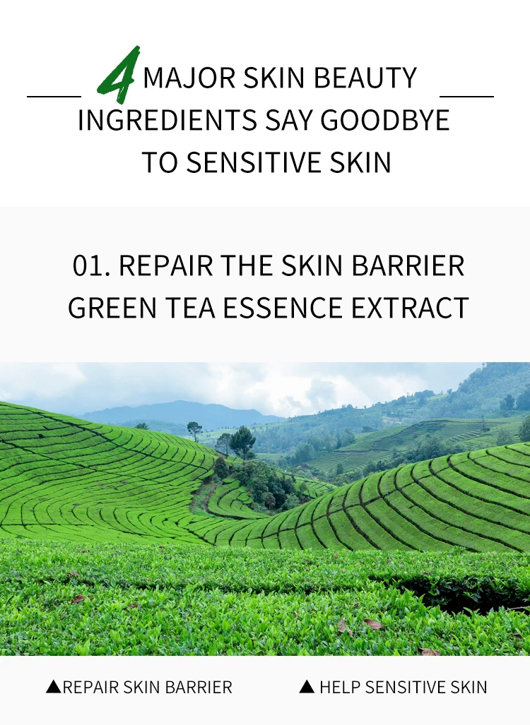 DR RASHEL Green Tea Smoothing and Soothing Facial Lotion For Sensitive Skin