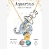 NE250130-11 Aquarius