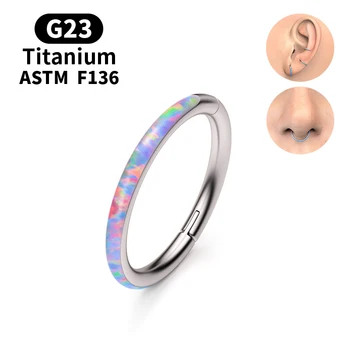 Eternal metal 16G 1.2MM ASTM F136 Titanium CNC Set opal Pave Outer side Hinged Segment Hoop Rings body jewelry