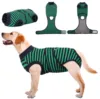 Green Stripe